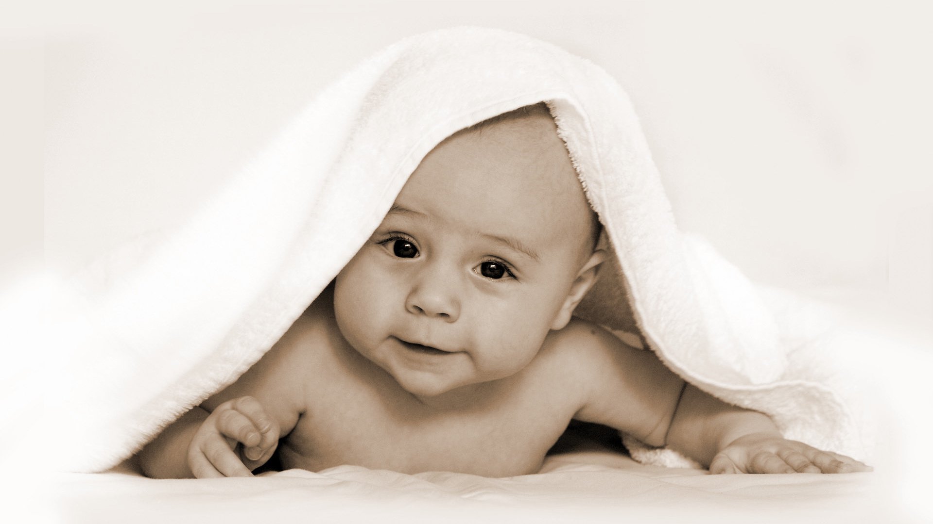 借卵机构提高试管婴儿成功率